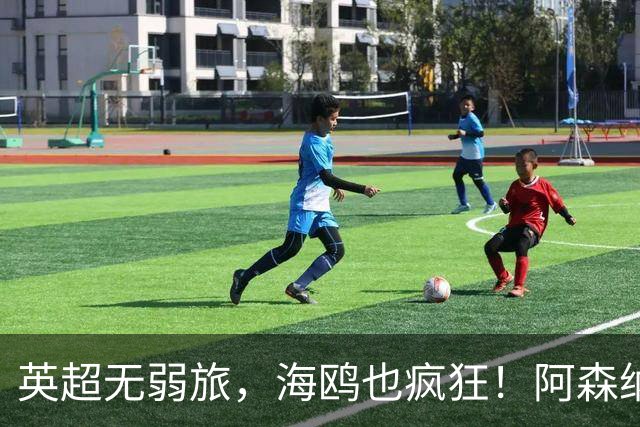 英超无弱旅，海鸥也疯狂！阿森纳3球惨败，拉亚成了远射背景板