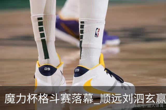 魔力杯格斗赛落幕 顺远刘泗玄赢下100公斤级